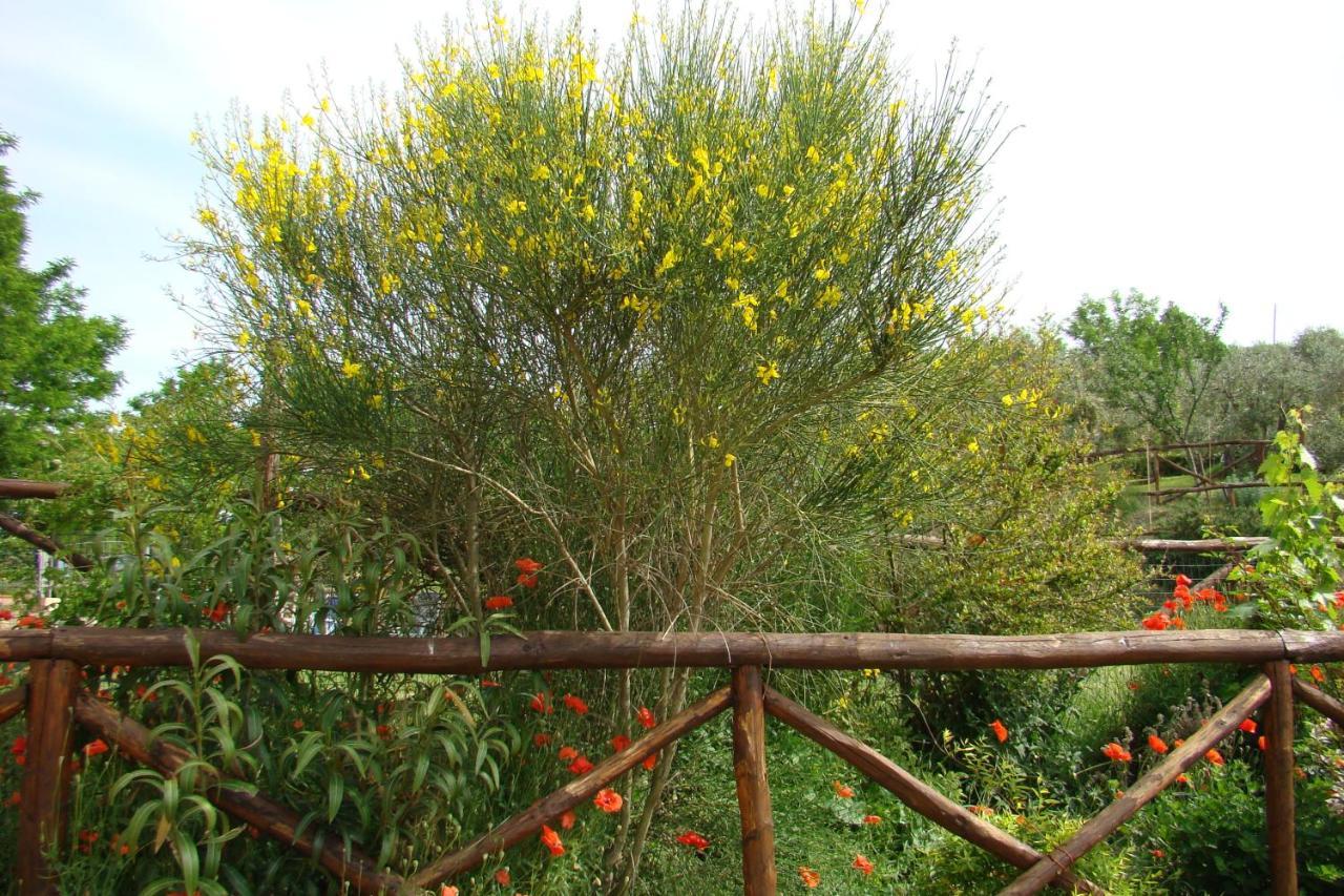 Casa Natura San Gimignano Eksteriør billede